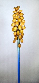 F 047E